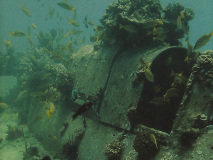 Hawaii’s Most Rare Artifacts May Yet to Be Found