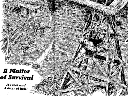 A Matter of Survival