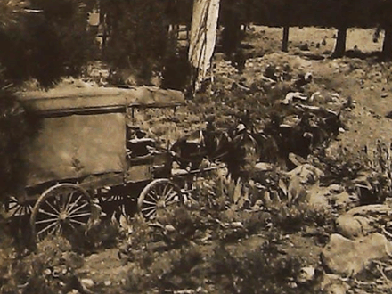 Lost Treasure of Canyon Station