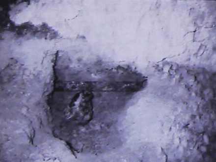 Mystery and Treasure at Stump Springs