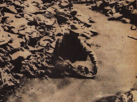 La Plata Canyon Treasures