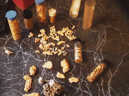 Mystery of the Missing Link Nugget