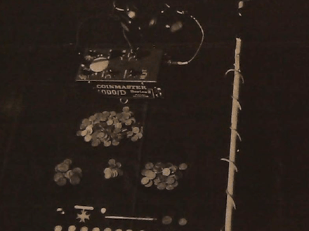 Church Lawn Blessed With More Than 200 Coins