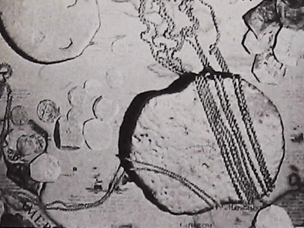 Shipwrecks, Treasure and Salvors