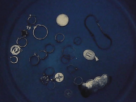 Off Season Hunting – Texas Style