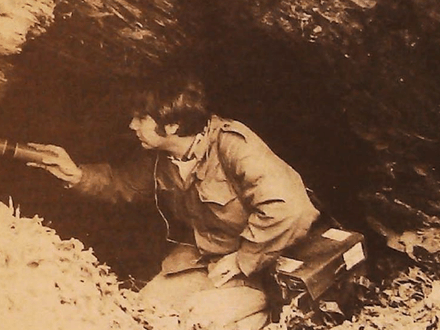 The Gold Fields of Alabama