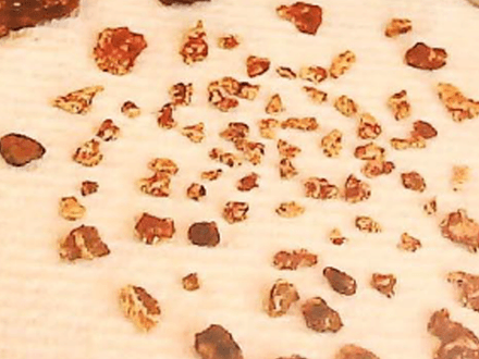 Alaska: The golden land of the Midnight Sun