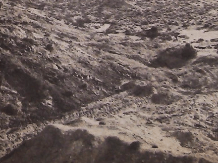 Where to Find Rare Opal