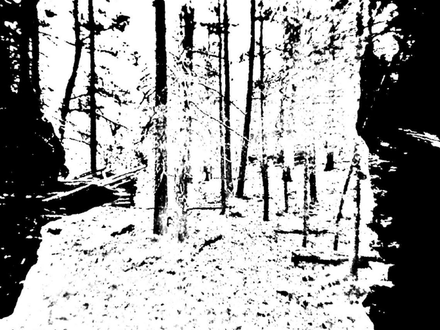 Shadows in Teller City