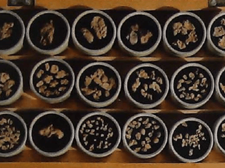 Treasure Hunting, the Ultimate Adventure