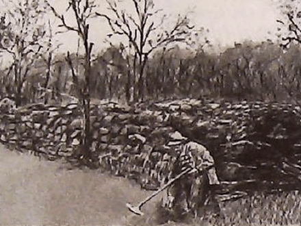 Autumn: A Golden Treasure-Harvest Time