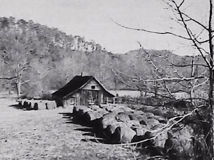 Treasure Hunting the Great Smokey Mountains