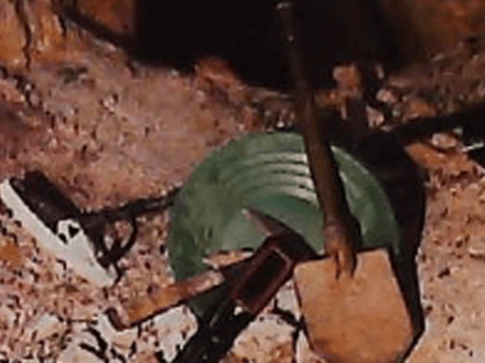 Hunting for Gold in the Archives