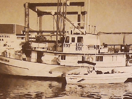 Diving Adventure Of A Lifetime