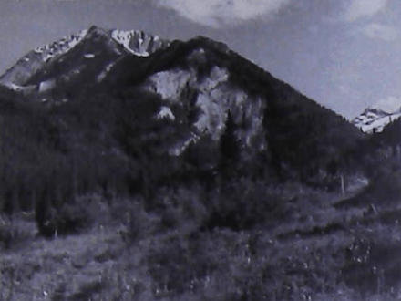 The Mountain’s Golden Heart