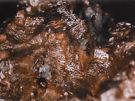 The Wickedest Town in the West