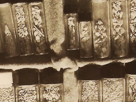 How to Go Nugget Shooting in Nevada