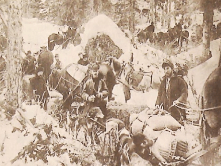 Chronicle of the Klondike