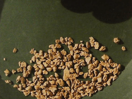 Find Gold in the Bradshaws