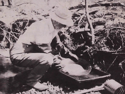 Placer Gold Recovery