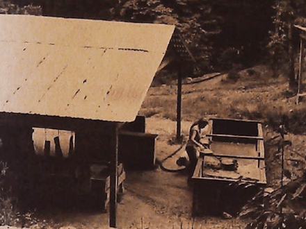 Golden Goodtimes in Northern Georgia