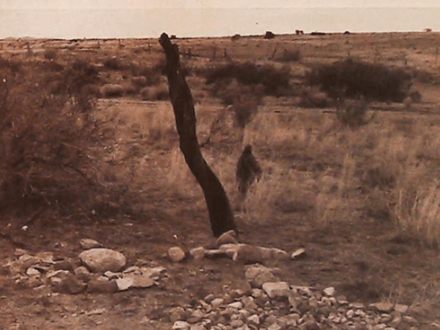 Socorro Train Robbery