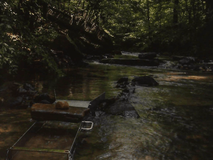 Southern California: Full of Sunshine and Gold