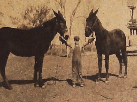 $25,000 Ransom Cached on Kansas Farm