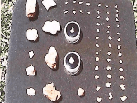 Gold Among the Wildflowers