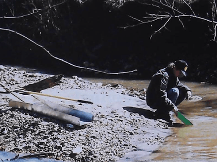 ROCKHOUNDS SUCCUMB TO LURE OF GOLD