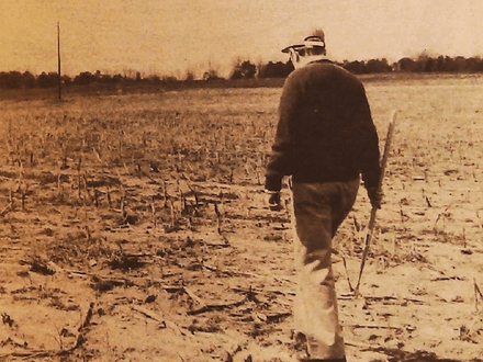 Indian Artifacts of North Carolina