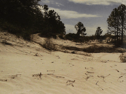 The Lost Treasures of Florida