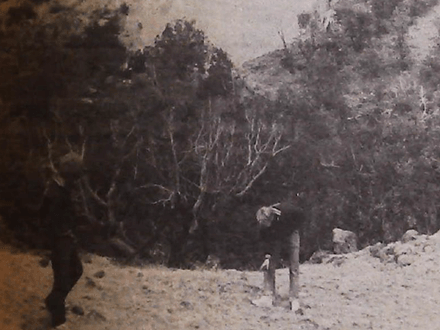 Rich Agate Site in Land of Enchantment