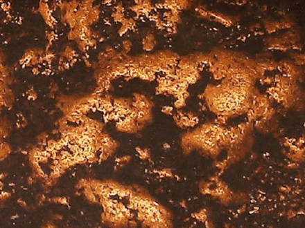 Was It Luck Finding a 40 Ounce Gold Nugget?