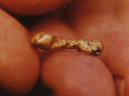 Perry’s Alaska Journal