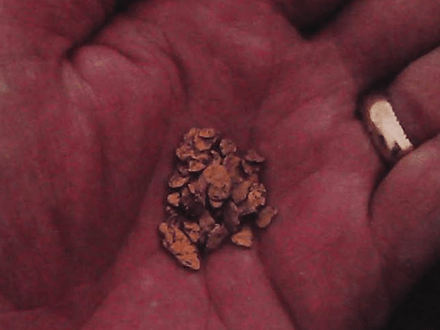 The Trail to Intuition