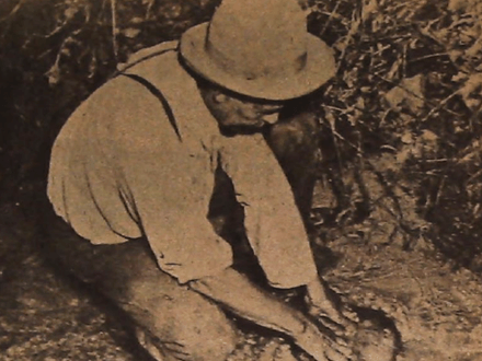 Georgia’s Gold Still Lures Panners