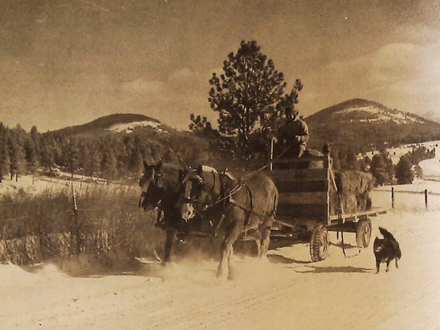 No Shortage of Treasure in the Treasure State