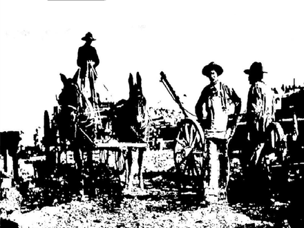Bonanza in the Mogollons