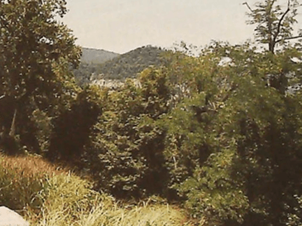 Lost Gold of Round Top Mountain