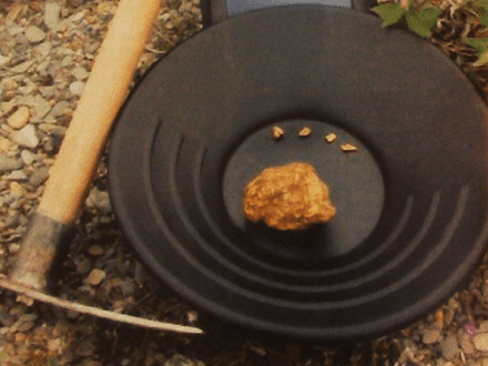 The Golden Rewards Of Proper Training And Research