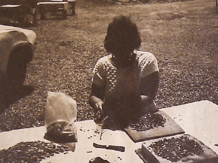 Sapphire Hunting in Montana