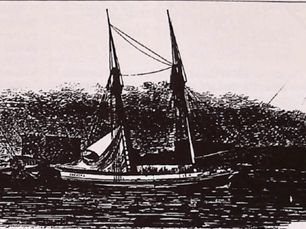 The Strange Dilemma of Harry Zych — Part 1