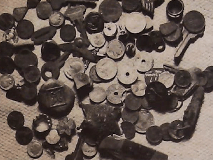 Parking Strips Produce Prosperous Pickings