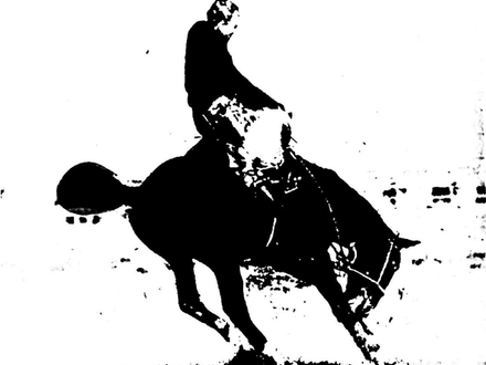 BUCKING HORSES