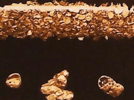 Prospecting at the Cotton Patch Gold Mine