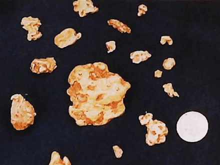 Gold &amp; Good Times! Metal Detecting the Famous Rich Hill