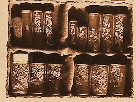 Gold In Yosemite Country: The Mother Lode’s Southern Mines