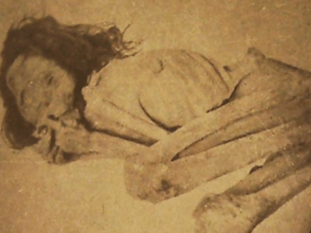 Yavapai County’s Apache Gold