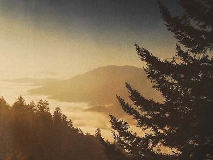 Gold Prospecting in the Great Smoky Mountains, Tennessee
